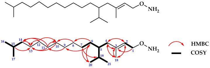 https://cdn.ncbi.nlm.nih.gov/pmc/blobs/c878/10708292/0eed565697d8/molecules-28-07705-g002.jpg