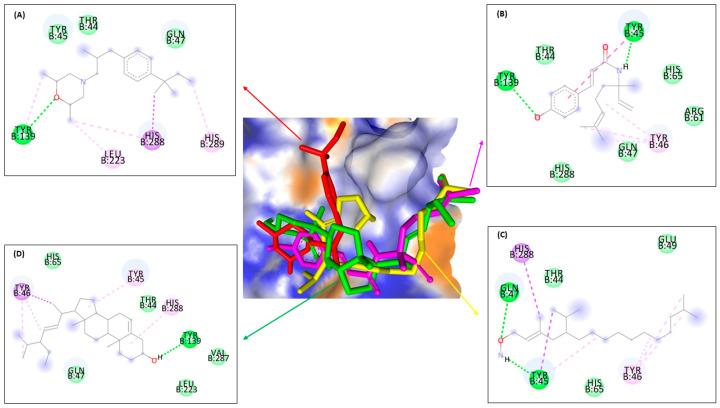 https://cdn.ncbi.nlm.nih.gov/pmc/blobs/c878/10708292/59884d3cde79/molecules-28-07705-g009.jpg