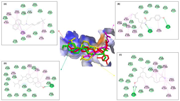 https://cdn.ncbi.nlm.nih.gov/pmc/blobs/c878/10708292/e135c43af6ec/molecules-28-07705-g008.jpg