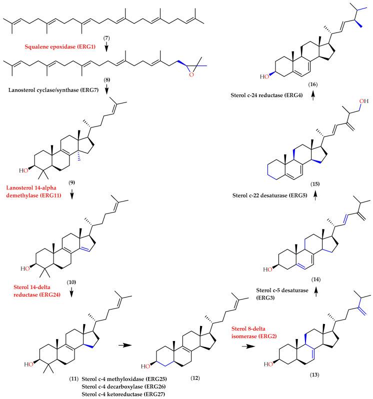 https://cdn.ncbi.nlm.nih.gov/pmc/blobs/c878/10708292/f10eaf249765/molecules-28-07705-g010.jpg