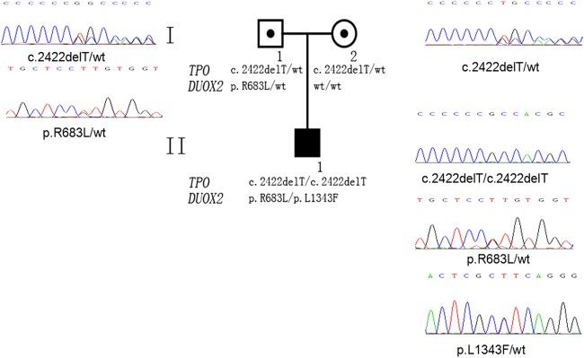 https://cdn.ncbi.nlm.nih.gov/pmc/blobs/c878/4874165/2286bcf56048/bmjopen2015010719f01.jpg