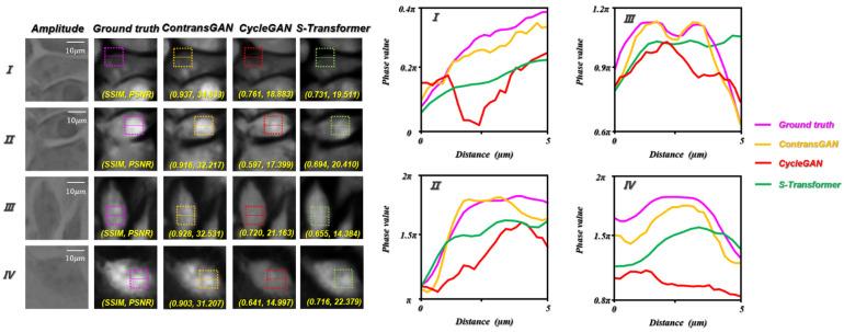 https://cdn.ncbi.nlm.nih.gov/pmc/blobs/c878/9368182/6c0653134095/cells-11-02394-g009.jpg