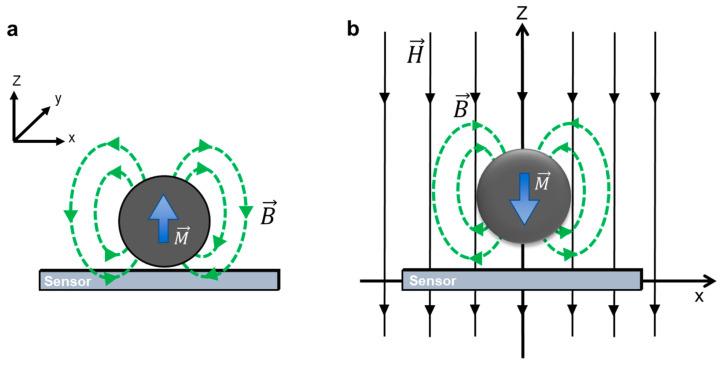 https://cdn.ncbi.nlm.nih.gov/pmc/blobs/c879/9313129/d7feef6bf7db/biosensors-12-00517-g003.jpg