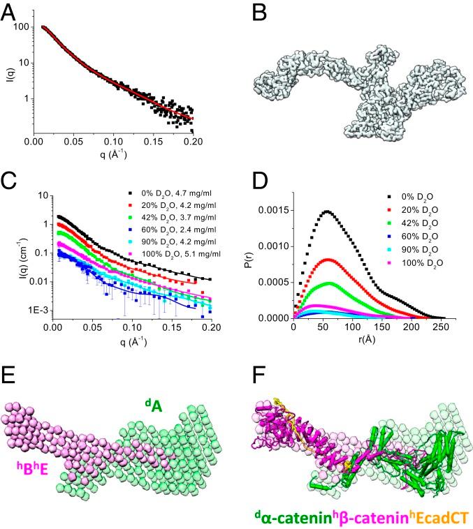 https://cdn.ncbi.nlm.nih.gov/pmc/blobs/c87b/6815173/8030af318719/pnas.1911489116fig02.jpg
