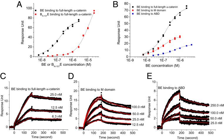 https://cdn.ncbi.nlm.nih.gov/pmc/blobs/c87b/6815173/9b49a316c0bd/pnas.1911489116fig05.jpg