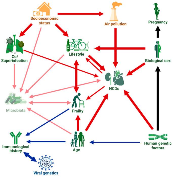 https://cdn.ncbi.nlm.nih.gov/pmc/blobs/c87b/9863423/b92acf6d931f/viruses-15-00175-g001.jpg