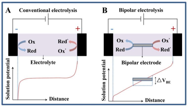 https://cdn.ncbi.nlm.nih.gov/pmc/blobs/c87c/10295983/0a05b1e2bc63/biosensors-13-00666-g004.jpg