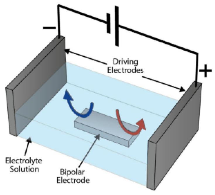 https://cdn.ncbi.nlm.nih.gov/pmc/blobs/c87c/10295983/538696934e62/biosensors-13-00666-g003.jpg