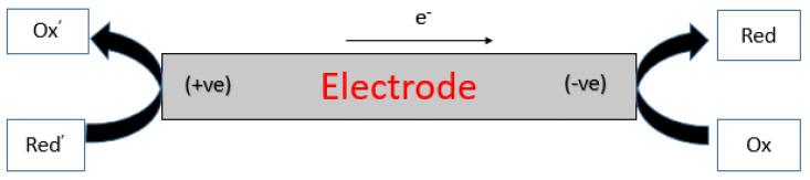 https://cdn.ncbi.nlm.nih.gov/pmc/blobs/c87c/10295983/92eb13ad2e3c/biosensors-13-00666-g002.jpg