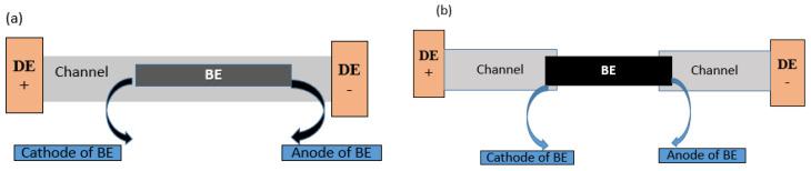 https://cdn.ncbi.nlm.nih.gov/pmc/blobs/c87c/10295983/f98d4439993d/biosensors-13-00666-g005.jpg