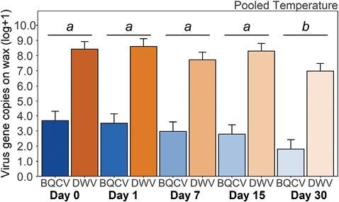 https://cdn.ncbi.nlm.nih.gov/pmc/blobs/c87e/10860154/bf0cba213f20/toad216_fig1.jpg