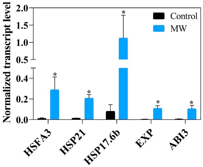 https://cdn.ncbi.nlm.nih.gov/pmc/blobs/c880/10096772/eb0b19cd5e6e/plants-12-01477-g012.jpg