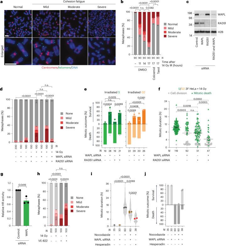 https://cdn.ncbi.nlm.nih.gov/pmc/blobs/c880/11735404/039bf447eb08/41556_2024_1557_Fig5_HTML.jpg