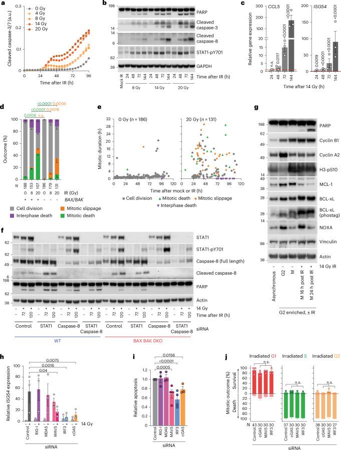 https://cdn.ncbi.nlm.nih.gov/pmc/blobs/c880/11735404/23a115705f70/41556_2024_1557_Fig7_HTML.jpg