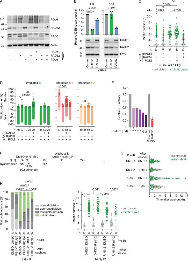 https://cdn.ncbi.nlm.nih.gov/pmc/blobs/c880/11735404/7209670a1c64/41556_2024_1557_Fig11_ESM.jpg