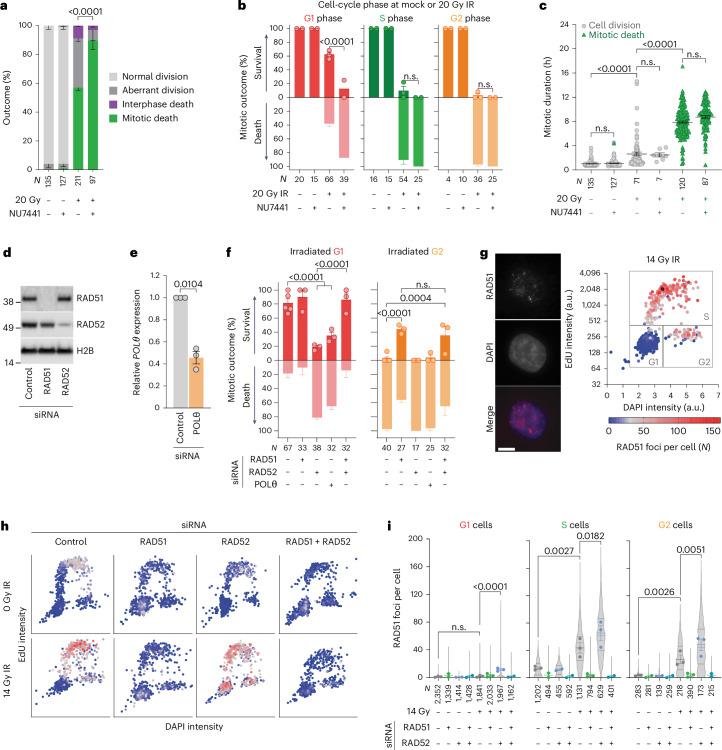 https://cdn.ncbi.nlm.nih.gov/pmc/blobs/c880/11735404/78d39c3f560f/41556_2024_1557_Fig2_HTML.jpg