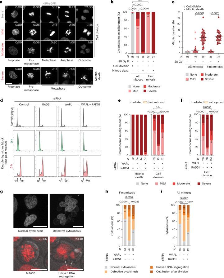 https://cdn.ncbi.nlm.nih.gov/pmc/blobs/c880/11735404/8b8b501a0f1c/41556_2024_1557_Fig6_HTML.jpg