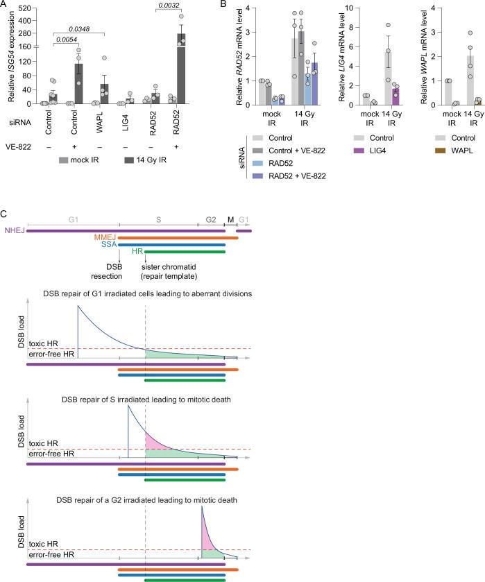 https://cdn.ncbi.nlm.nih.gov/pmc/blobs/c880/11735404/af712a41bca5/41556_2024_1557_Fig16_ESM.jpg