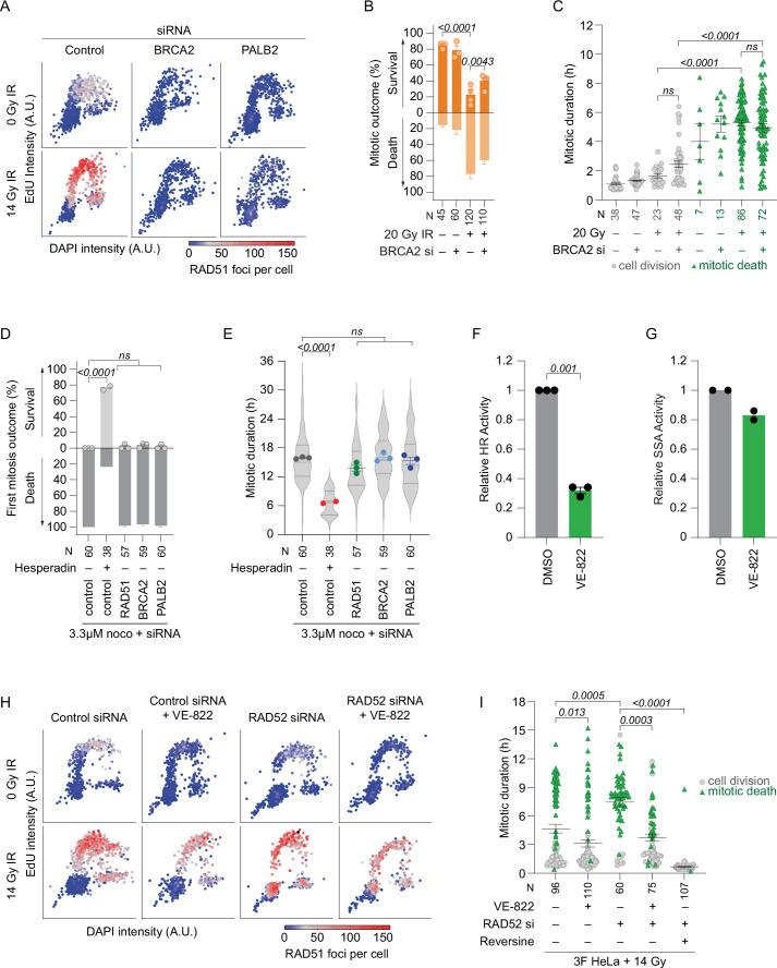 https://cdn.ncbi.nlm.nih.gov/pmc/blobs/c880/11735404/b3e2c041f698/41556_2024_1557_Fig12_ESM.jpg