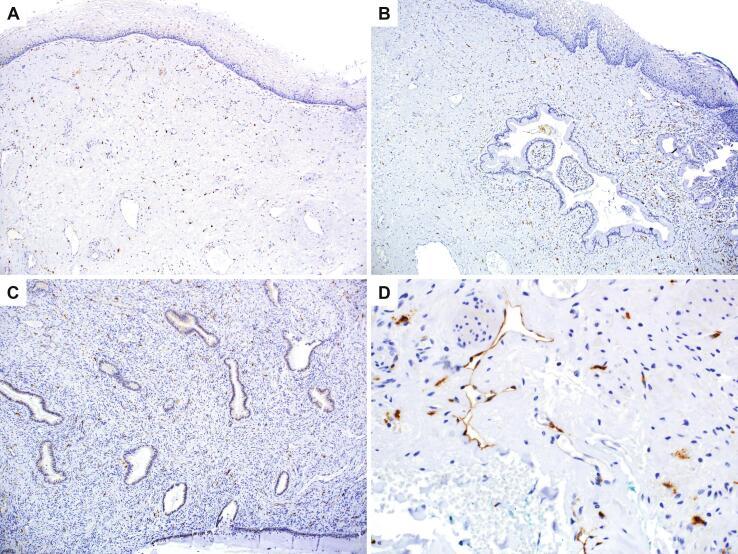 https://cdn.ncbi.nlm.nih.gov/pmc/blobs/c880/9361318/af4e8169f6b5/gr2.jpg