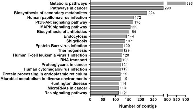 https://cdn.ncbi.nlm.nih.gov/pmc/blobs/c883/7435268/a157a9def87f/41598_2020_70902_Fig2_HTML.jpg