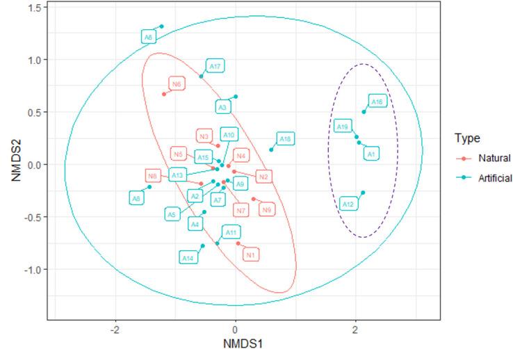 https://cdn.ncbi.nlm.nih.gov/pmc/blobs/c885/12054085/c92903b6c5ba/spectrum.01930-24.f006.jpg