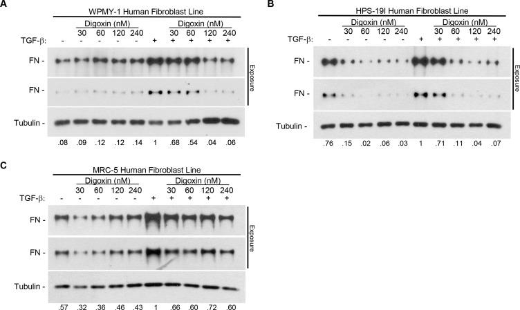 https://cdn.ncbi.nlm.nih.gov/pmc/blobs/c885/5078007/712998a3f2a0/oncotarget-07-32200-g002.jpg