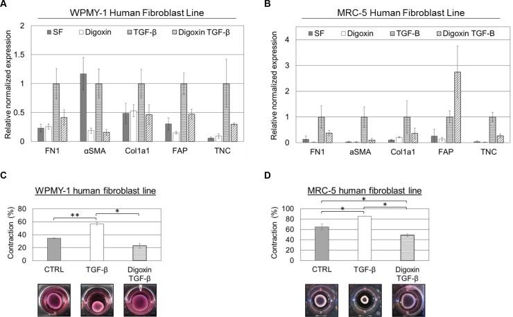 https://cdn.ncbi.nlm.nih.gov/pmc/blobs/c885/5078007/9e4d9228c29b/oncotarget-07-32200-g003.jpg