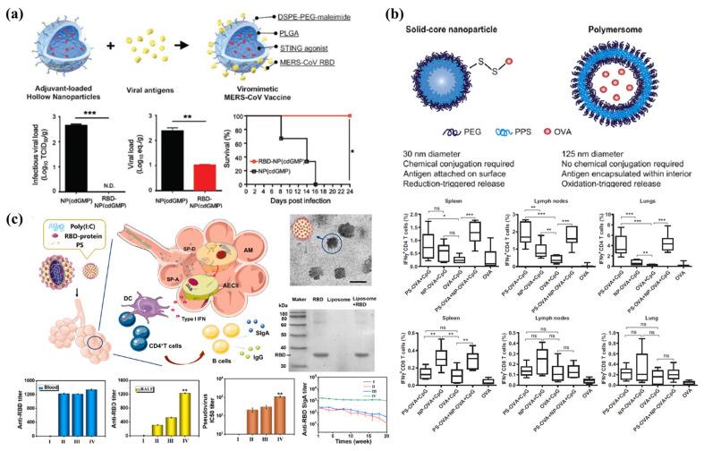 https://cdn.ncbi.nlm.nih.gov/pmc/blobs/c886/8540357/0c11682f354b/pharmaceutics-13-01570-g003.jpg