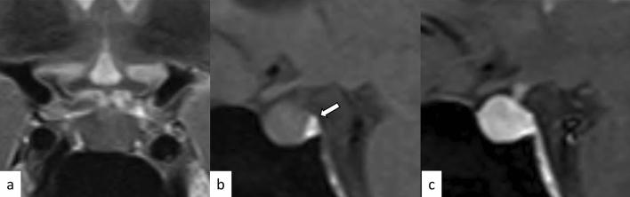 https://cdn.ncbi.nlm.nih.gov/pmc/blobs/c887/10468747/425562c4391f/11604_2023_1417_Fig10_HTML.jpg