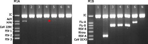 https://cdn.ncbi.nlm.nih.gov/pmc/blobs/c889/7112863/f74979b98220/gr3.jpg