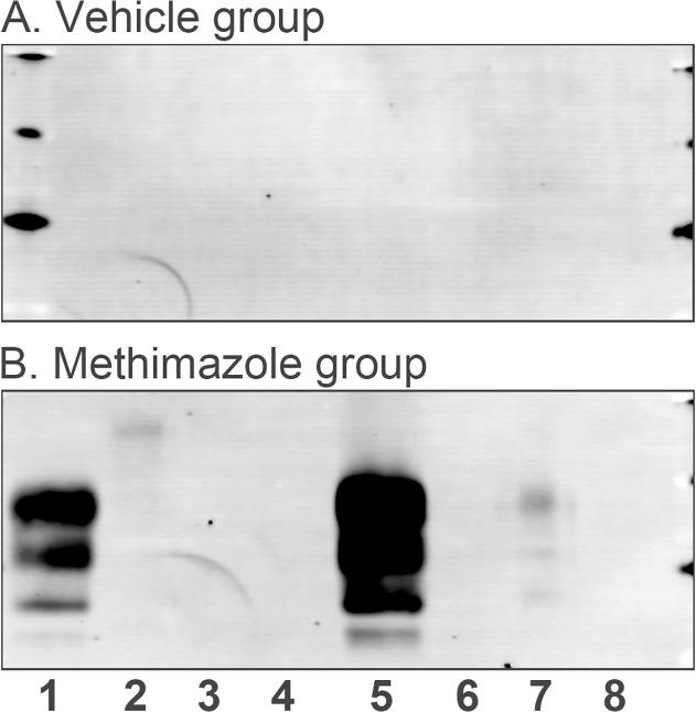 https://cdn.ncbi.nlm.nih.gov/pmc/blobs/c88a/4379011/54b3f3140c8b/pone.0119863.g004.jpg
