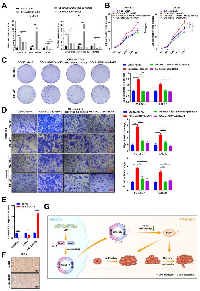 https://cdn.ncbi.nlm.nih.gov/pmc/blobs/c88e/11734332/701d9aa92cf4/12885_2025_13464_Fig7_HTML.jpg