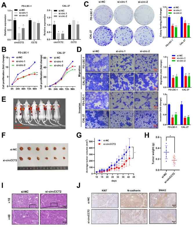 https://cdn.ncbi.nlm.nih.gov/pmc/blobs/c88e/11734332/b5450ed1ec75/12885_2025_13464_Fig2_HTML.jpg