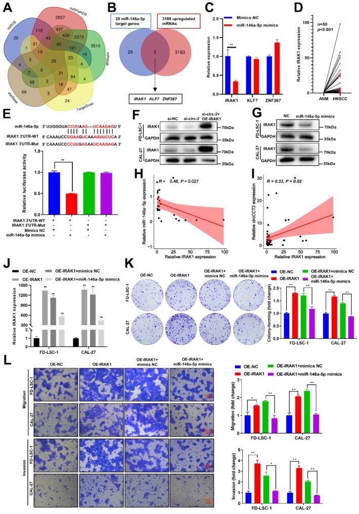 https://cdn.ncbi.nlm.nih.gov/pmc/blobs/c88e/11734332/d79b3f33de46/12885_2025_13464_Fig5_HTML.jpg