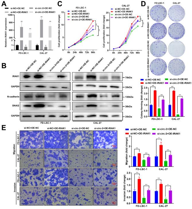 https://cdn.ncbi.nlm.nih.gov/pmc/blobs/c88e/11734332/f1b7650aadc1/12885_2025_13464_Fig6_HTML.jpg