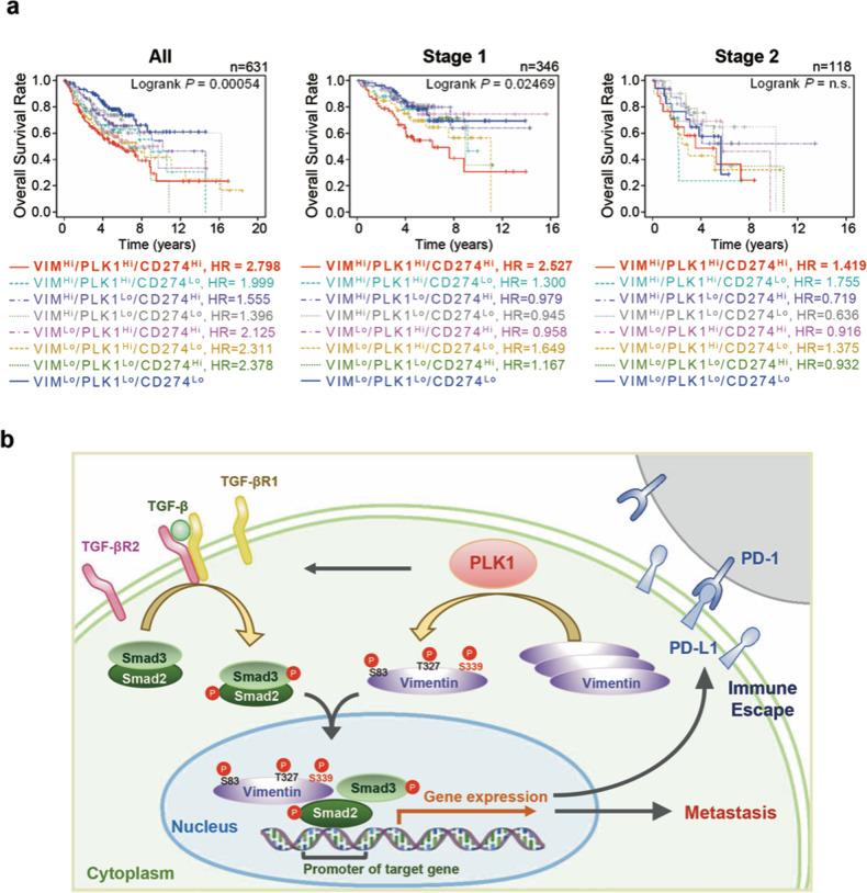 https://cdn.ncbi.nlm.nih.gov/pmc/blobs/c88e/8408167/38d43b8539d5/41418_2021_781_Fig8_HTML.jpg