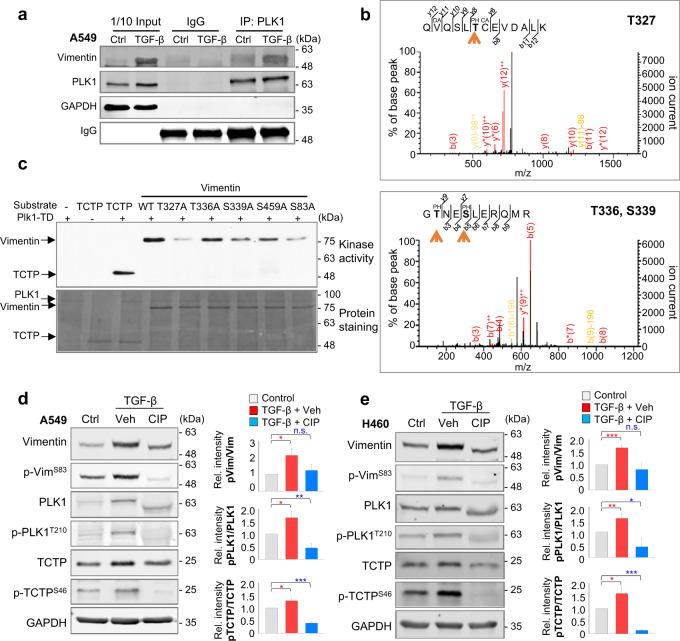 https://cdn.ncbi.nlm.nih.gov/pmc/blobs/c88e/8408167/81d1aecb0e7c/41418_2021_781_Fig2_HTML.jpg
