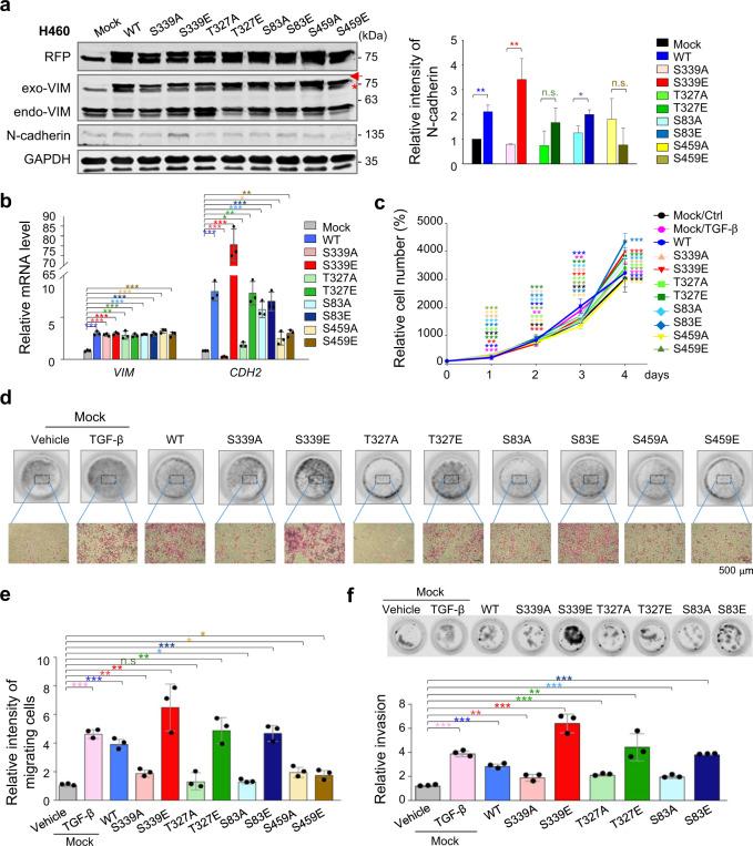 https://cdn.ncbi.nlm.nih.gov/pmc/blobs/c88e/8408167/8ca92f58e3e9/41418_2021_781_Fig3_HTML.jpg