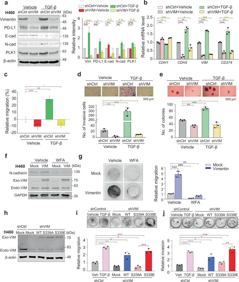 https://cdn.ncbi.nlm.nih.gov/pmc/blobs/c88e/8408167/f831a57f90dd/41418_2021_781_Fig5_HTML.jpg