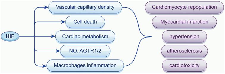 https://cdn.ncbi.nlm.nih.gov/pmc/blobs/c88f/10171438/635ff419f9b5/bb-2023-8437f2.jpg