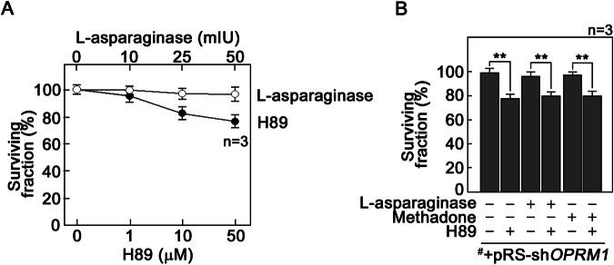 https://cdn.ncbi.nlm.nih.gov/pmc/blobs/c892/11130271/a98f87ba2089/41420_2024_2028_Fig5_HTML.jpg