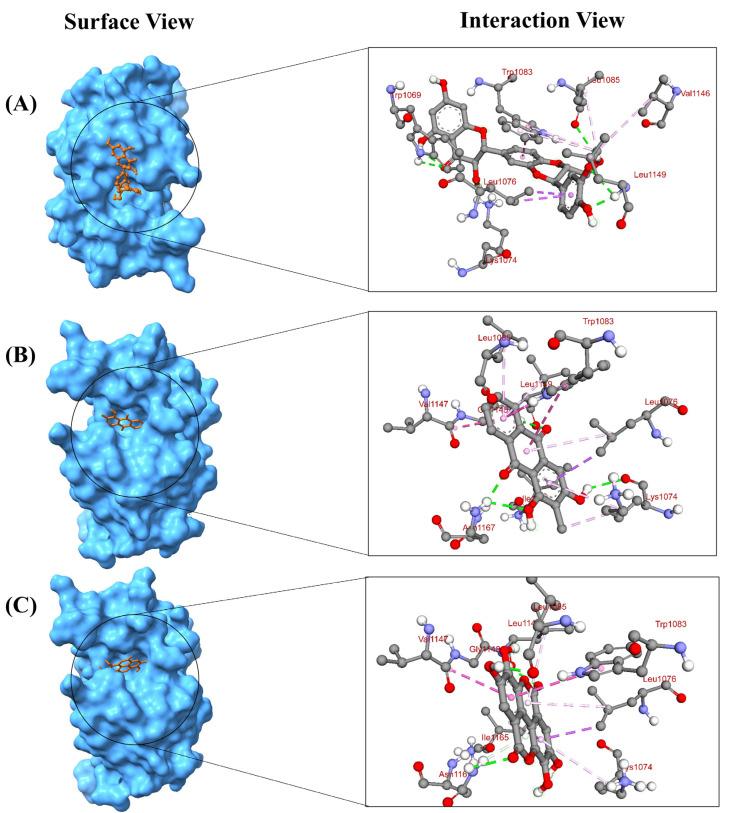 https://cdn.ncbi.nlm.nih.gov/pmc/blobs/c892/12030398/728330a24cb2/pharmaceuticals-18-00566-g002.jpg