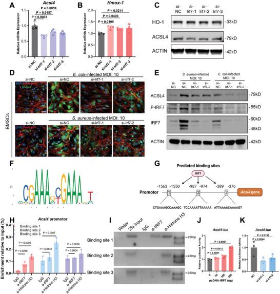 https://cdn.ncbi.nlm.nih.gov/pmc/blobs/c895/11497072/d2da10788236/ADVS-11-2404453-g001.jpg