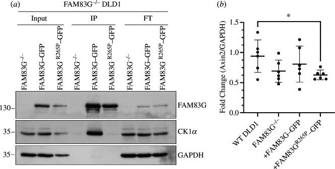 https://cdn.ncbi.nlm.nih.gov/pmc/blobs/c896/11265864/41f519548ad8/rsob.240075.f003.jpg