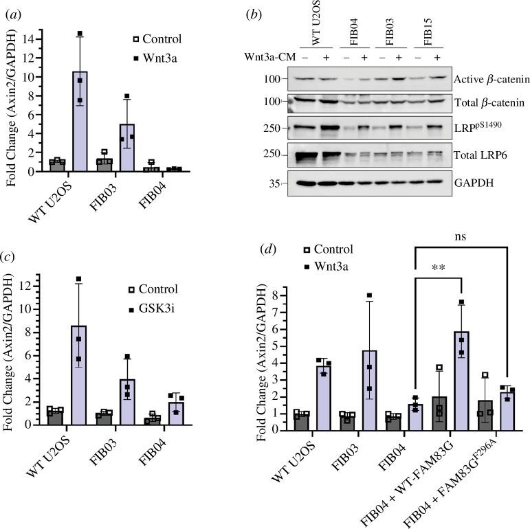 https://cdn.ncbi.nlm.nih.gov/pmc/blobs/c896/11265864/e083e4466377/rsob.240075.f005.jpg
