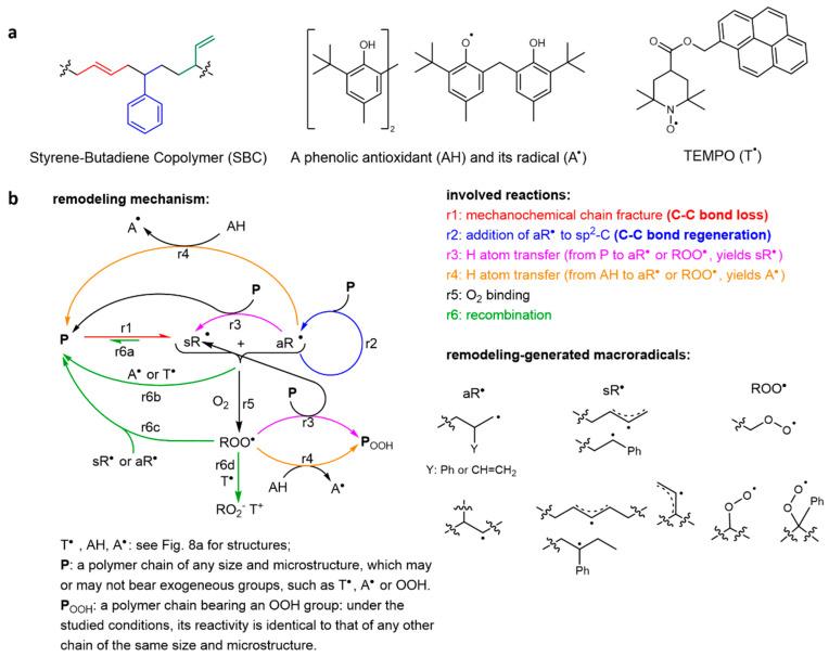 https://cdn.ncbi.nlm.nih.gov/pmc/blobs/c89a/11821010/176f44ab9535/molecules-30-00469-g007.jpg