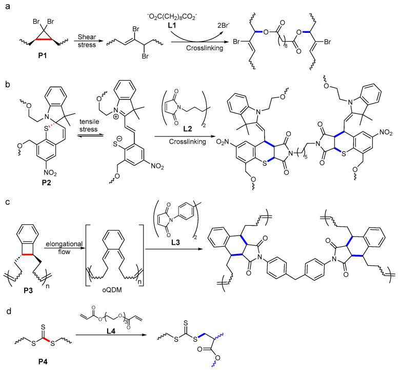 https://cdn.ncbi.nlm.nih.gov/pmc/blobs/c89a/11821010/9216ec809ec2/molecules-30-00469-g003.jpg