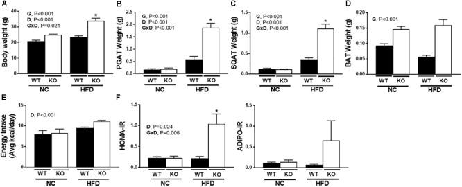 https://cdn.ncbi.nlm.nih.gov/pmc/blobs/c89a/6371032/b4eb0ce9b88a/fphys-10-00009-g002.jpg