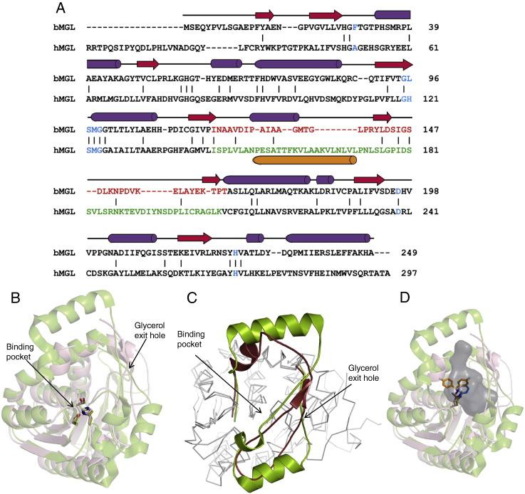 https://cdn.ncbi.nlm.nih.gov/pmc/blobs/c89b/3790968/0a36e2ecc463/gr7.jpg